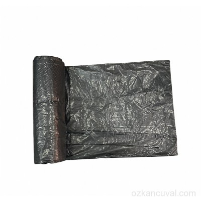 RULO P POET  (  55 x 60 )